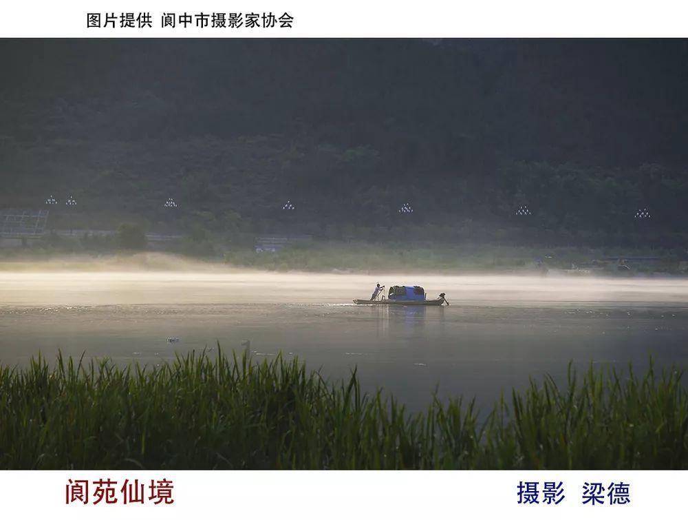 全民烧脑3去广告版