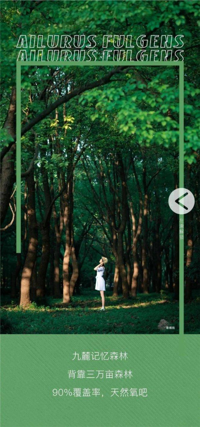 月光影视