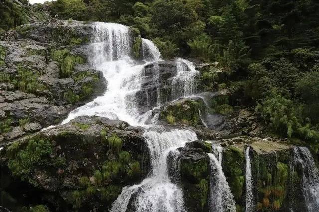 端午节的起源是什么?-专业知识星球平台
