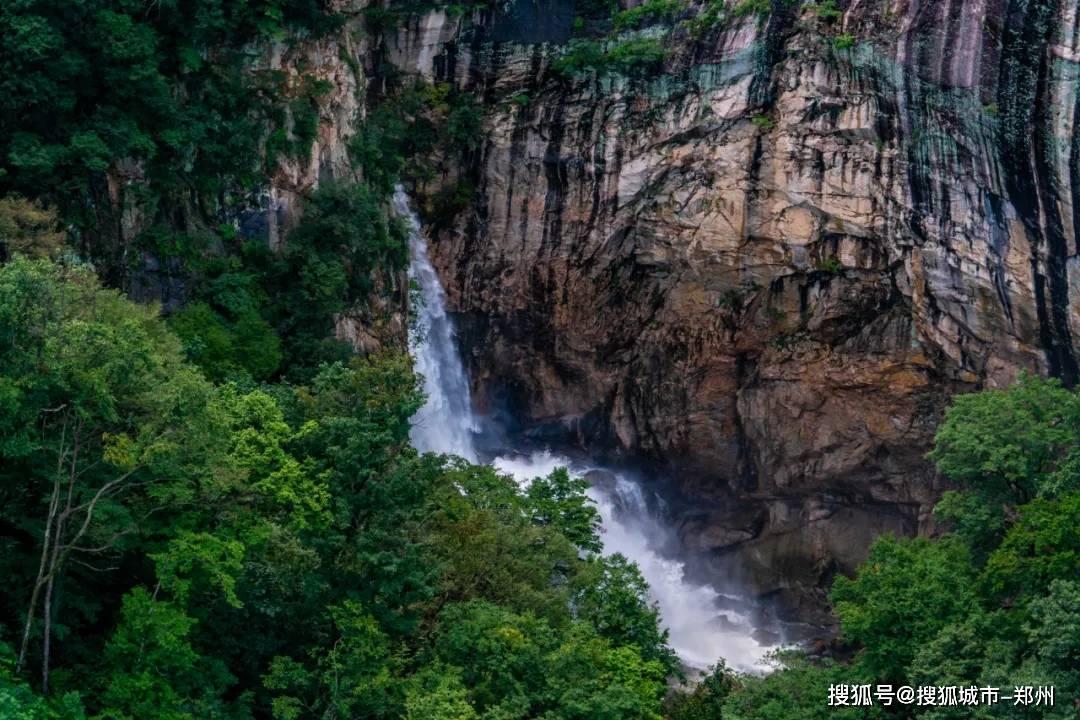 豆瓣试水内容付费,你怎么看?-专业的红迪网平台